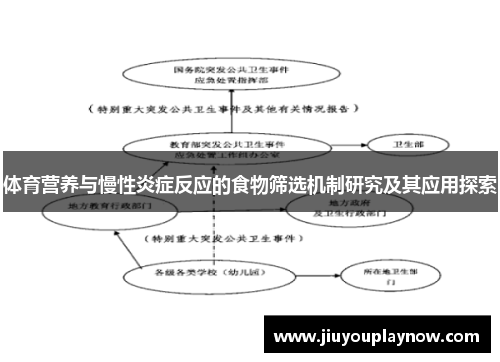 体育营养与慢性炎症反应的食物筛选机制研究及其应用探索